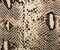 Brown-Multi Rayon Reptile Printed Twill Satin Woven Fabric By the Yard